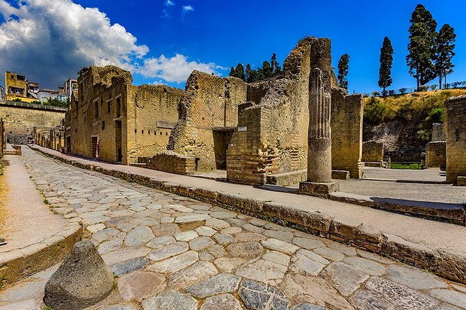 Skip the line Ticket Herculaneum Guided Tour 4 hrs - Parco Acheologico di Ercolano: streets, houses, and the Vesuvius burial