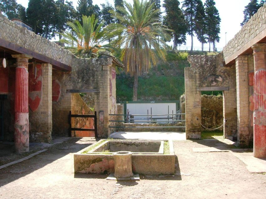 Sorrento: Herculaneum Day Trip with Entry and Lunch - Key Highlights Worth Planning For