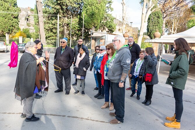 Sorrento & Pompeii Guided Day Trip from Rome with Optional Pickup - The Price: Is $115.13 Good Value for This Plan?