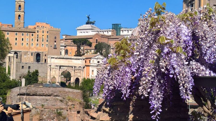 Tour of Colosseum & Roman Forum with Dutch Guide - Skip the Ticket Line: Where Value Actually Shows Up
