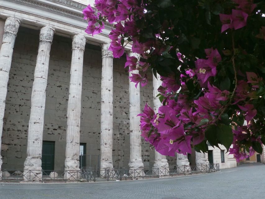 Tour of Colosseum & Roman Forum with Dutch Guide - What the Tour Really Teaches You to Look For