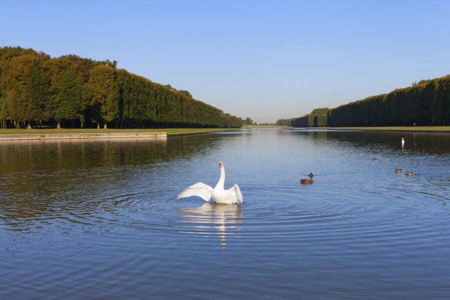 Versailles: Skip-the-Line Guided Tour of Palace with Gardens - Versailles Gardens: A Self-Guided Stroll That Still Has Structure