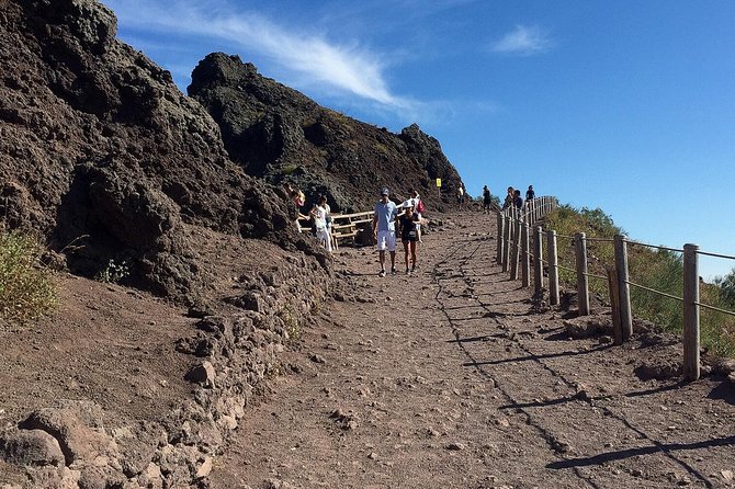 Vesuvius and Herculaneum Day Trip from Naples with Skip the Line - Tickets and what your money is buying (and not buying)