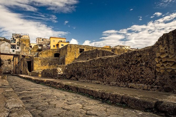 Vesuvius and Herculaneum Day Trip from Naples with Skip the Line - Who should book this Vesuvius and Herculaneum trip