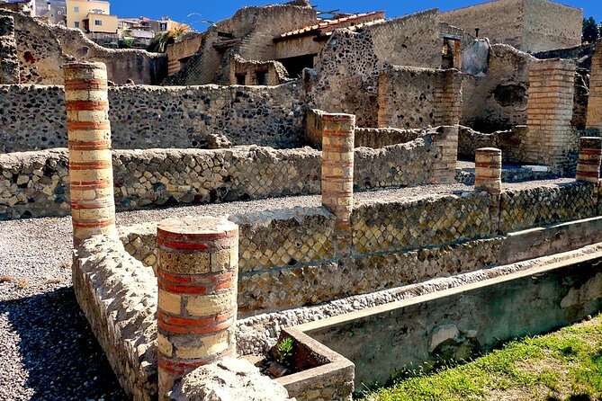 Vesuvius and Herculaneum Day Trip from Naples with Skip the Line - Should you book this Vesuvius and Herculaneum day trip?