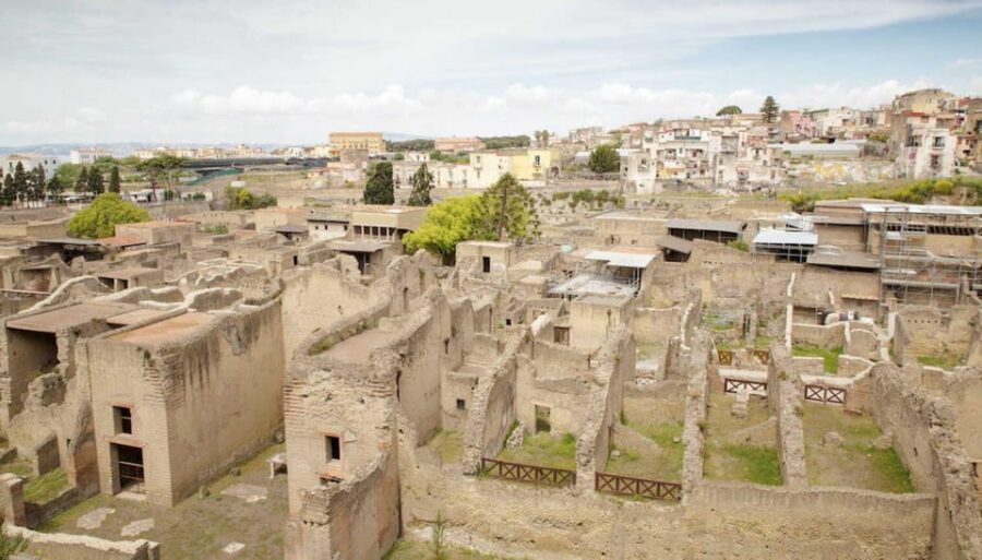 Vesuvius - Herculaneum - Pompeii Excavations Tour - Money and admissions: why your real cost is slightly higher