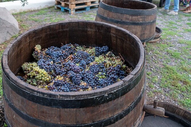 Vesuvius Wine Tasting Experience with Lunch Included - Pastiera Dessert and Sweet Pairings: A Neapolitan Finish