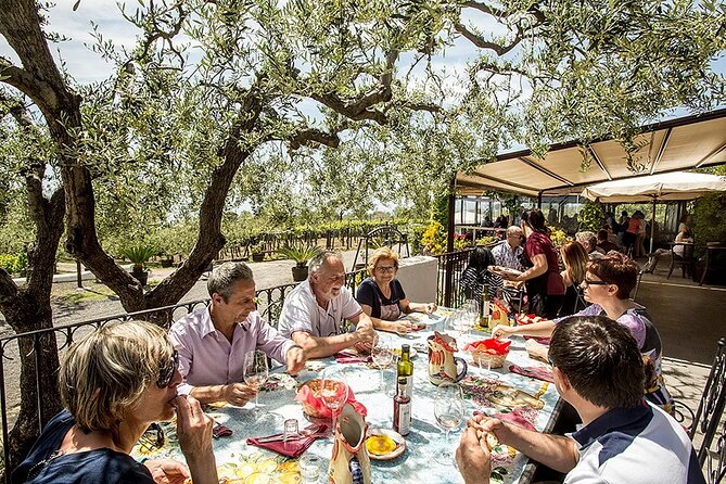 Vesuvius Wine Tasting Experience with Lunch Included - The 2-Hour Flow: From Vineyard Walk to Wine Flights