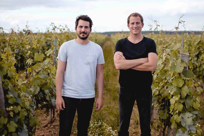 Vineyard tour and wine tasting in Davron - Three vintages, one sensory session: how the tasting works