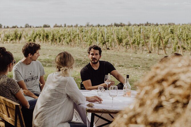 Vineyard tour and wine tasting in Davron - Should you book this Davron vineyard tour?
