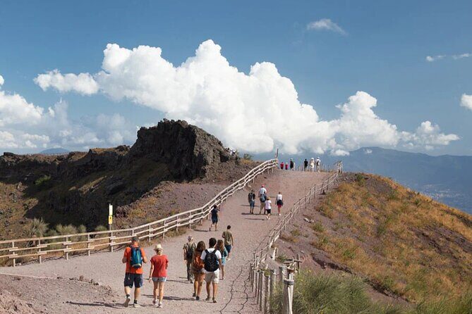 Vintage Van Experience: Tour and Transfer to Mt. Vesuvius - Pickup Coverage: Getting In Without Wrestling With Naples Transit