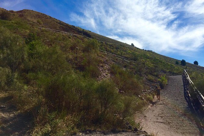 Vintage Van Experience: Tour and Transfer to Mt. Vesuvius - What’s Included (and What You Need to Plan for)