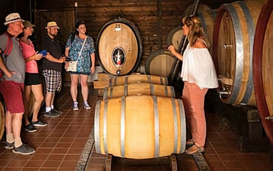 Wine Tasting Experience on the slopes of Vesuvius - Views, food, and pacing: where the value feels strong or weak